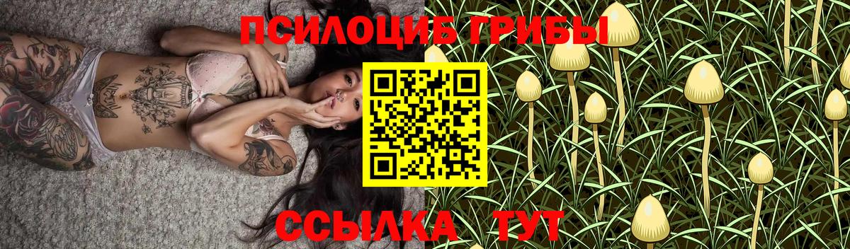 Галлюциногенные грибы прущие грибы Жуковский