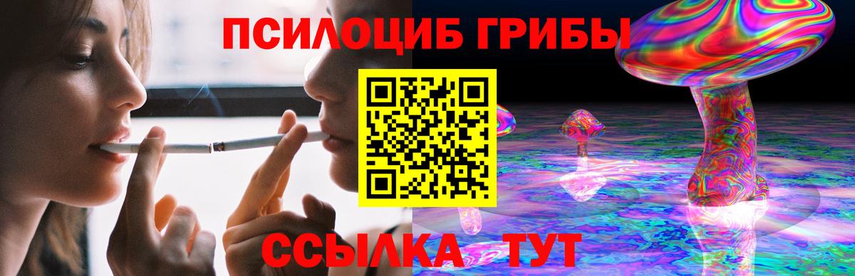 Жуковский  Галлюциногенные грибы Cubensis  Псилоцибиновые грибы Magic Shrooms  Вход с VPN 